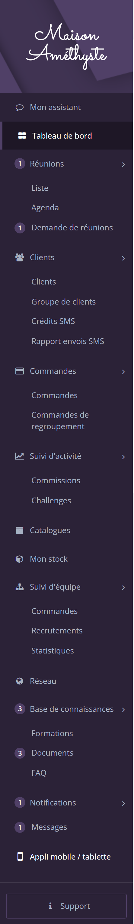 Bas du menu de gauche de la marque de démonstration, avec l'entrée Appli mobile / tablette puis le bouton Support