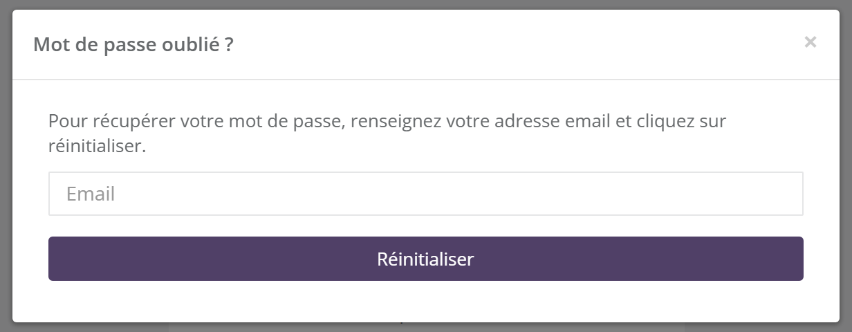 Fenêtre Mot de passe oublié ? : champ Email et bouton Réinitialiser