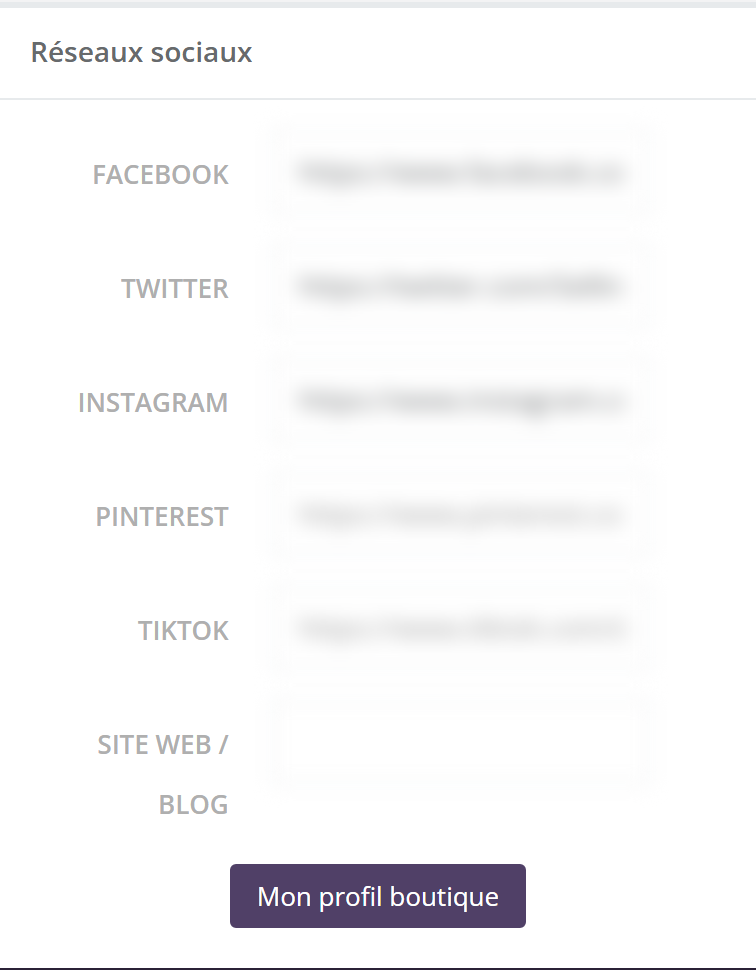 Bloc Réseaux sociaux : champs Facebook, Twitter, Instagram, Pinterest, TikTok, Site web / Blog, et bouton Mon profil boutique
